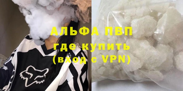 прущие грибы Навашино