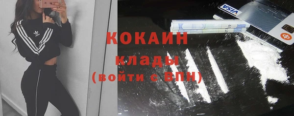 прущие грибы Навашино